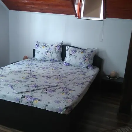 Zoi Сasa de vacaciones